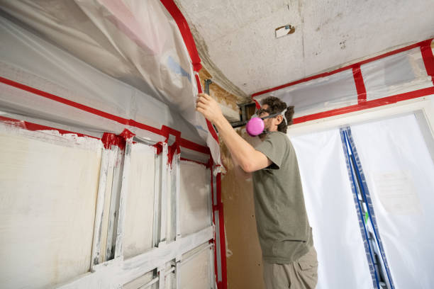 Best Real Estate Mold Inspection  in Bithlo, FL