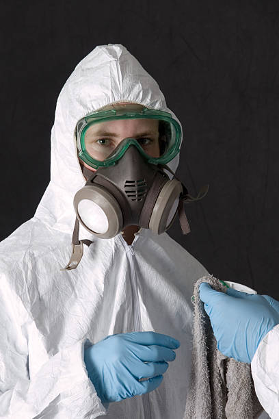 Best Post-Construction Mold Inspection  in Bithlo, FL